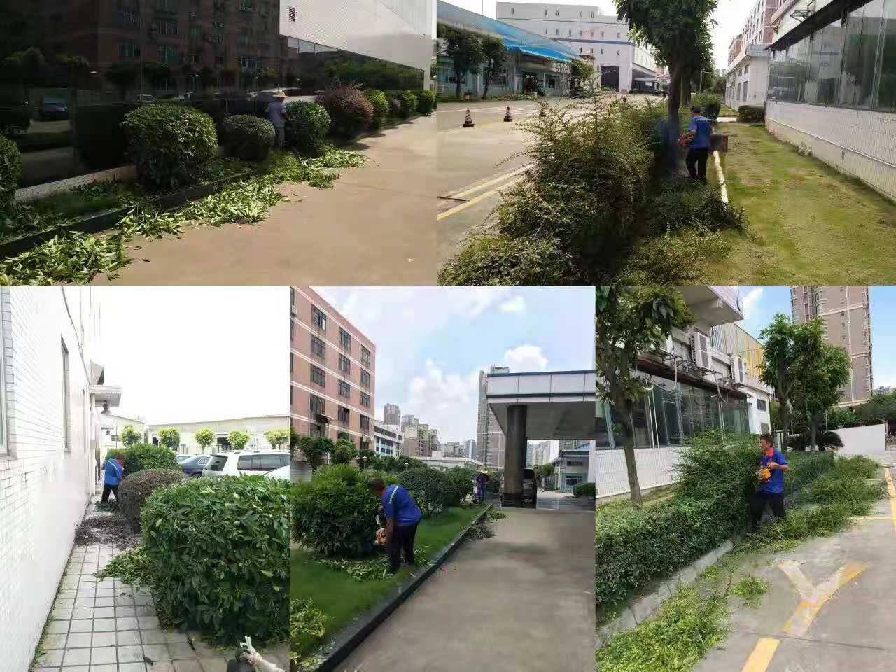 佛山綠化養(yǎng)護(hù)助力生態(tài)園林設(shè)計(jì)